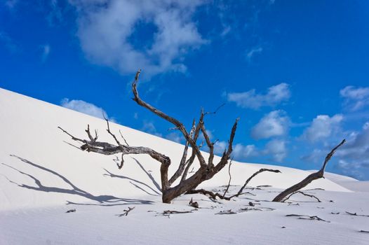 Lencois Maranhenses, Brazil, South America