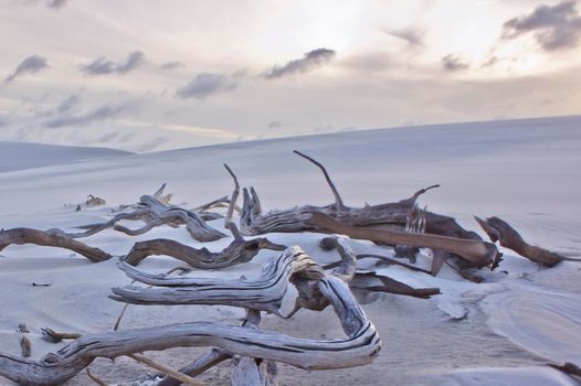 Lencois Maranhenses, Brazil, South America