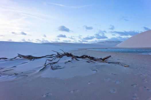 Lencois Maranhenses, Brazil, South America