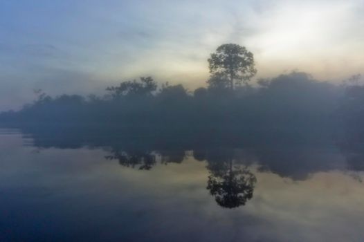 Amazon river, Sunrise view, Brazil, South America