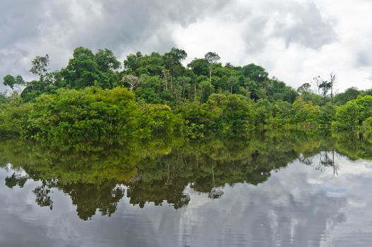 Amazon river reflection, Brazil, South America