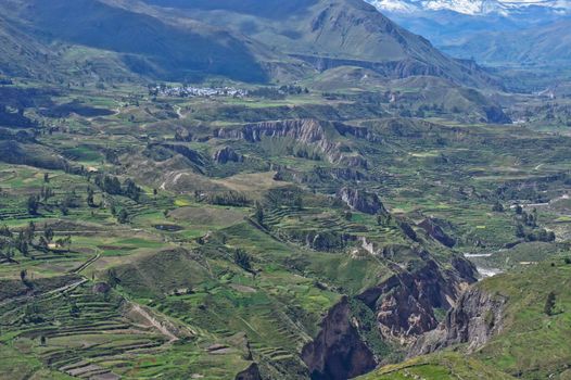 Colca Valley, Peru, South America