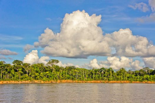 Amazon Basin, Peru, South America