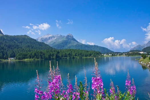 Lago Bianco, Natural landscape in Alps, Switzerland, Europe