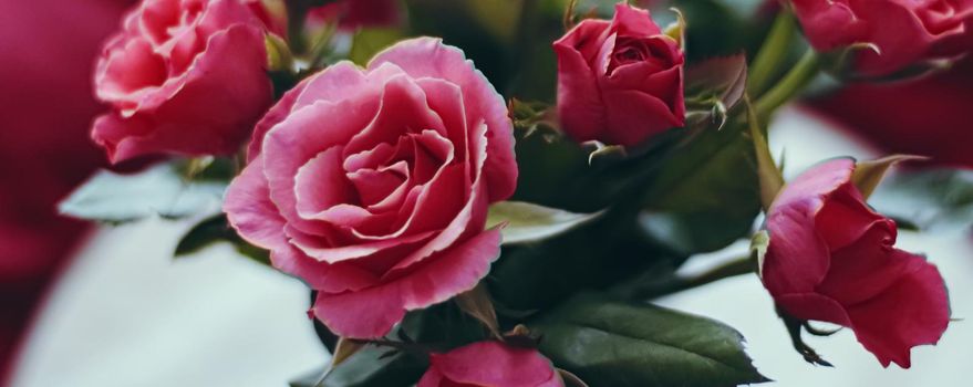 Romantic bouquet of roses, holiday gift and floral beauty closeup