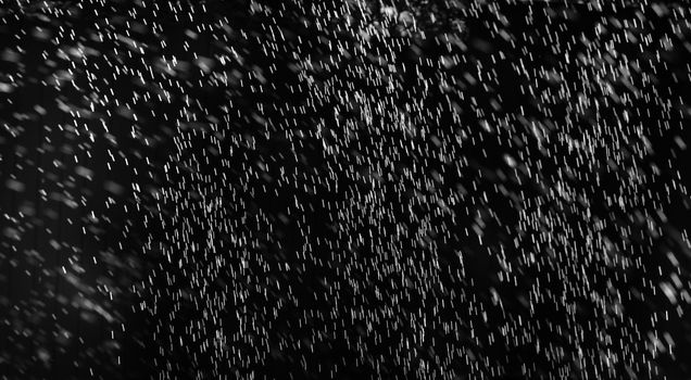 Rain on black. Abstract splashes of water on a black background for screen blending mode and photo retouching.