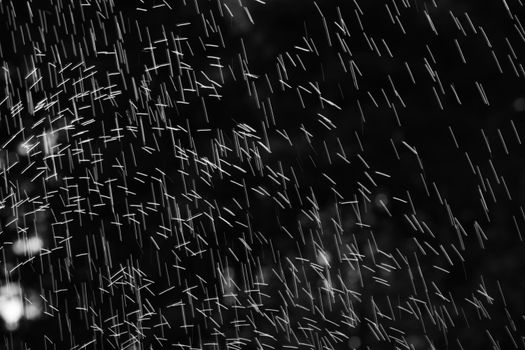 Rain on black. Abstract splashes of water on a black background for screen blending mode and photo retouching.