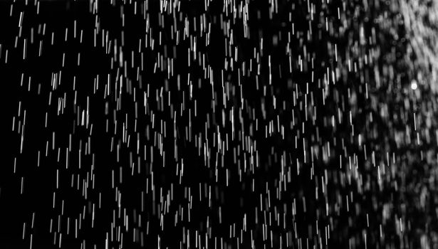 Rain on black. Abstract splashes of water on a black background for screen blending mode and photo retouching.