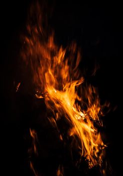 Flames of bonfire at night. Fire flames on a black background