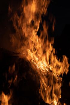 Flames of bonfire at night. Fire flames on a black background