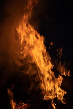 Flames of bonfire at night. Fire flames on a black background