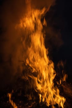 Flames of bonfire at night. Fire flames on a black background