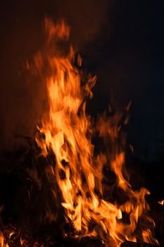 Flames of bonfire at night. Fire flames on a black background