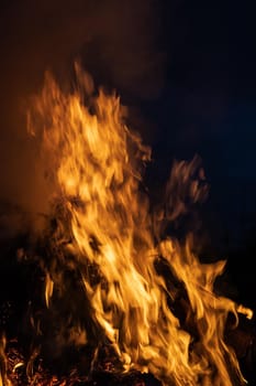 Flames of bonfire at night. Fire flames on a black background