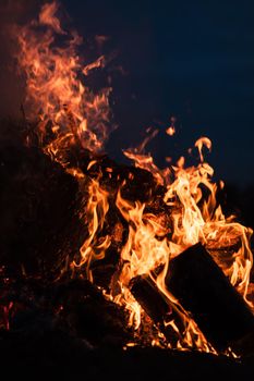 Flames of bonfire at night. Fire flames on a black background