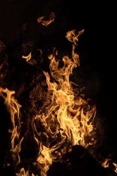 Flames of bonfire at night. Fire flames on a black background