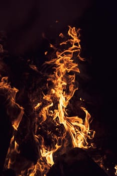 Flames of bonfire at night. Fire flames on a black background