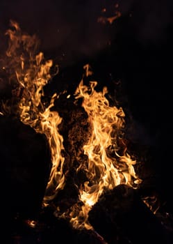 Flames of bonfire at night. Fire flames on a black background