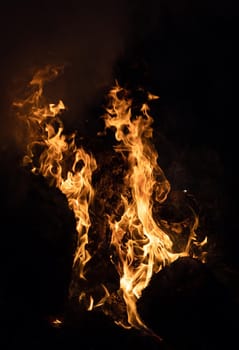 Flames of bonfire at night. Fire flames on a black background