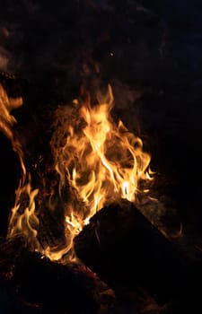 Flames of bonfire at night. Fire flames on a black background
