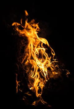Flames of bonfire at night. Fire flames on a black background