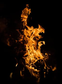 Flames of bonfire at night. Fire flames on a black background
