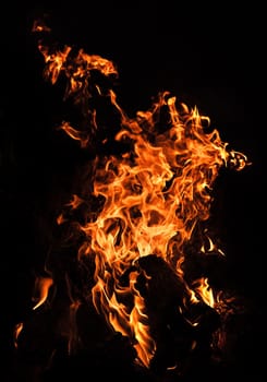 Flames of bonfire at night. Fire flames on a black background
