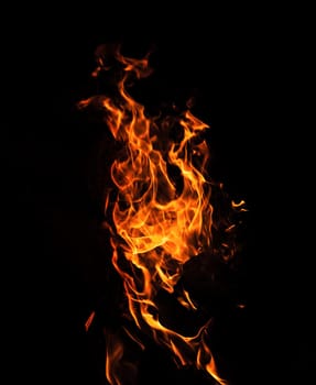 Flames of bonfire at night. Fire flames on a black background