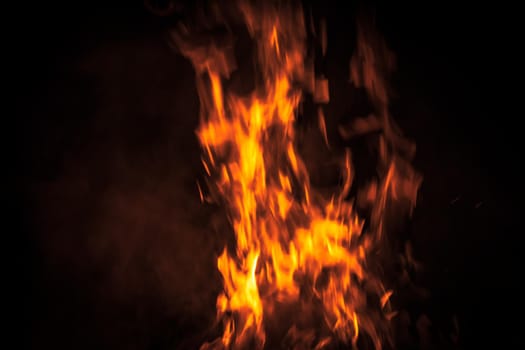 Flames of bonfire at night. Fire flames on a black background