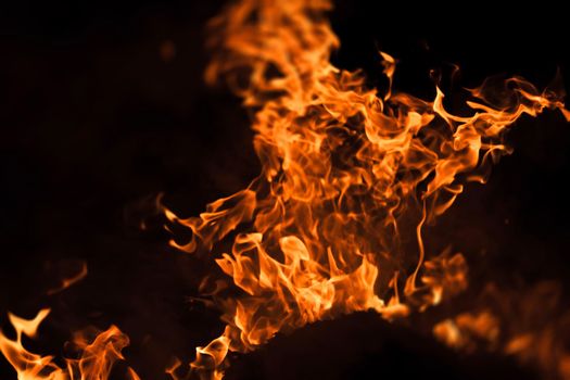 Flames of bonfire at night. Fire flames on a black background