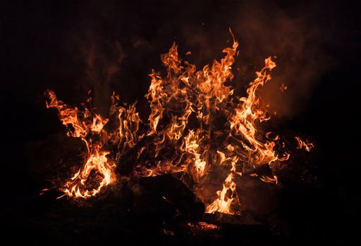 Flames of bonfire at night. Fire flames on a black background
