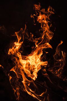 Flames of bonfire at night. Fire flames on a black background
