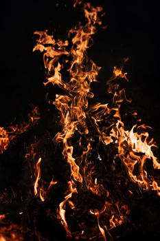 Flames of bonfire at night. Fire flames on a black background