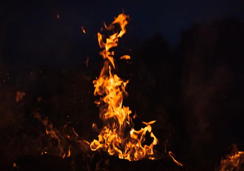 Flames of bonfire at night. Fire flames on a black background