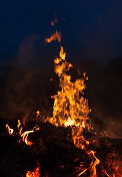 Flames of bonfire at night. Fire flames on a black background