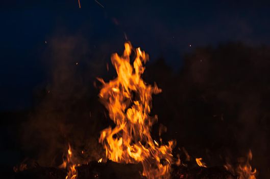 Flames of bonfire at night. Fire flames on a black background