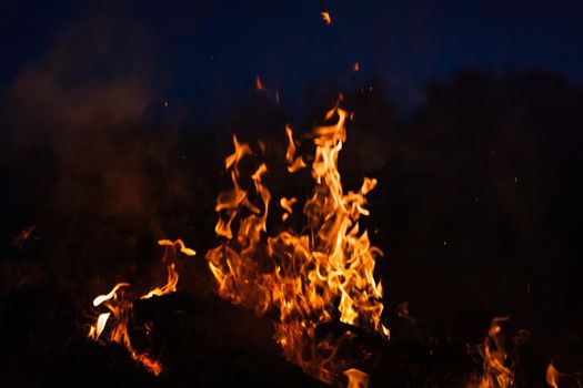 Flames of bonfire at night. Fire flames on a black background