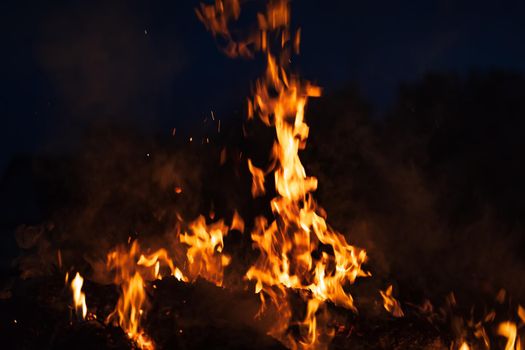 Flames of bonfire at night. Fire flames on a black background