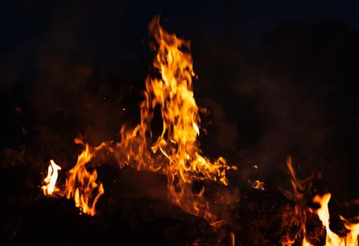 Flames of bonfire at night. Fire flames on a black background