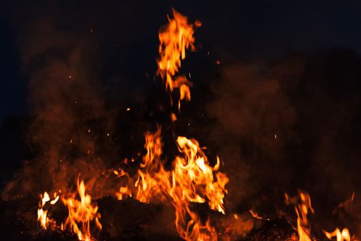 Flames of bonfire at night. Fire flames on a black background