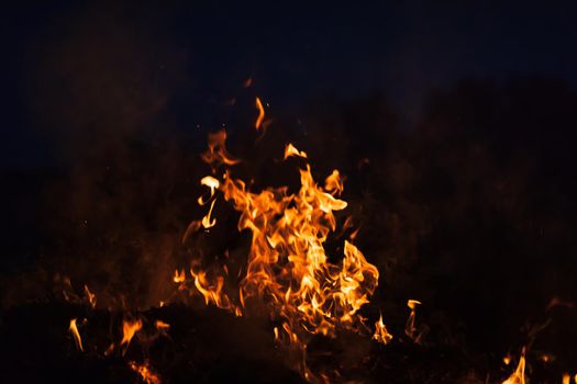 Flames of bonfire at night. Fire flames on a black background
