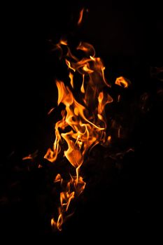 Flames of bonfire at night. Fire flames on a black background