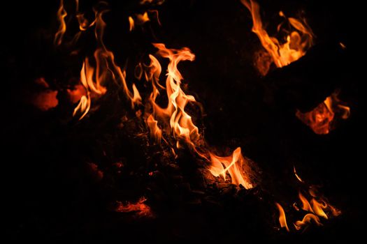 Flames of bonfire at night. Fire flames on a black background
