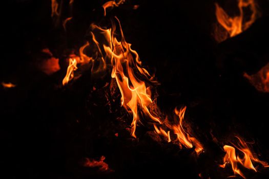 Flames of bonfire at night. Fire flames on a black background