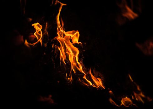 Flames of bonfire at night. Fire flames on a black background