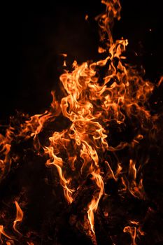 Flames of bonfire at night. Fire flames on a black background