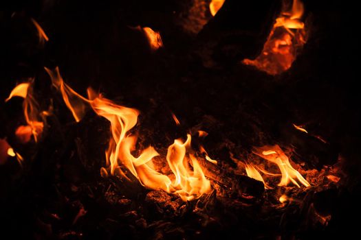 Flames of bonfire at night. Fire flames on a black background
