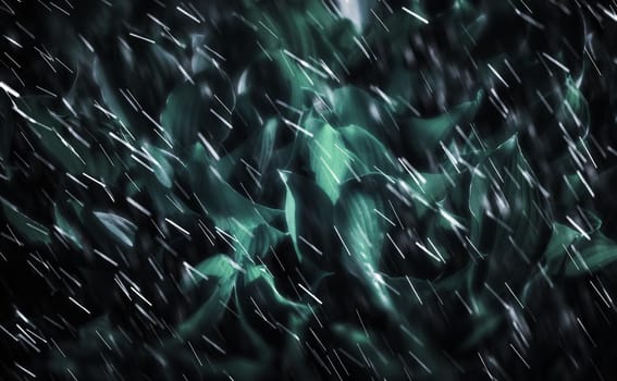 Soft focus image of large green leaves on a rainy day. Natural green texture background