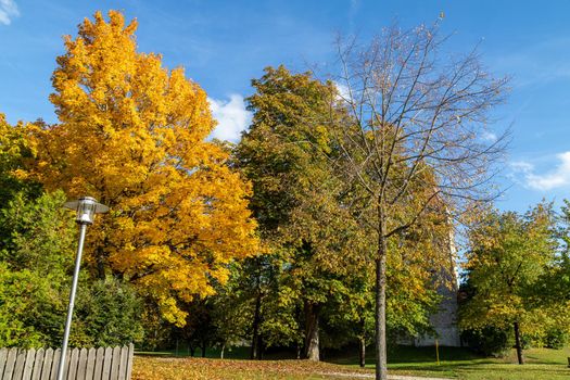 Autumn landscape with multicolored trees  in Berching, Bavaria on a sunny day