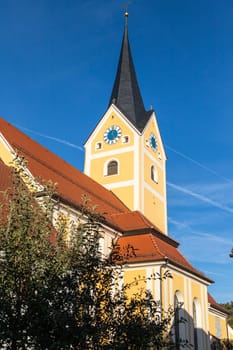 Parish church assumption in Berching, Bavaria in autumn with multicolored tree in foreground at a sunny day